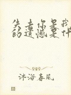 失去你是我一生的遗憾是什么歌