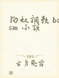 狗奴调教 bdsm 小说