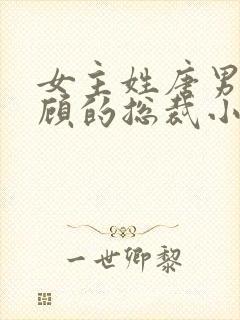 女主姓唐男主姓顾的总裁小说