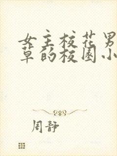 女主校花男主校草的校园小说