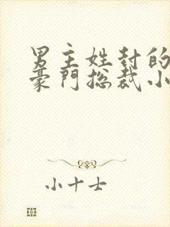 男主姓封的所有豪门总裁小说