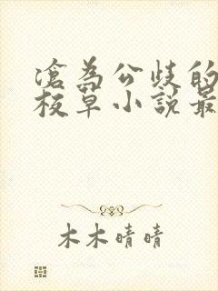 沧为公歧的清纯校草小说最新章节更封面