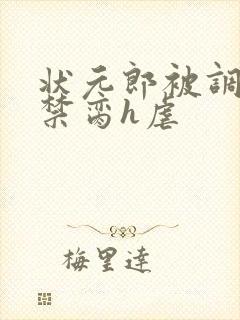 状元郎被调教成禁脔h虐