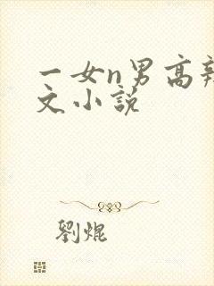 一女n男高辣h文小说