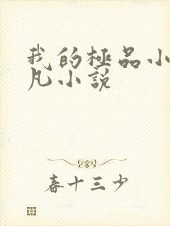 我的极品小姨叶凡小说