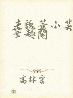 老魏董小芸全文笔趣阁