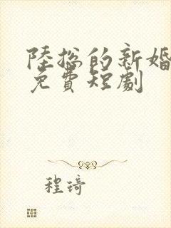 陆总的新婚哑妻免费短剧