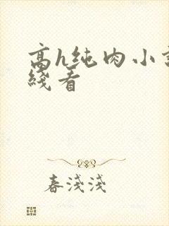 高h纯肉小说在线看