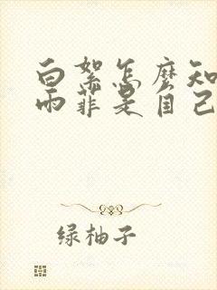 白絮怎么知道顾雨菲是自己人