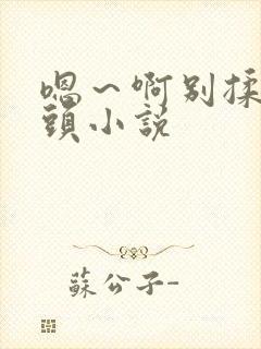 嗯～啊别揉我奶头小说