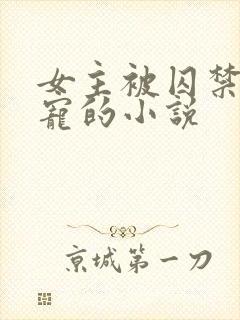 女主被囚禁当禁宠的小说封面