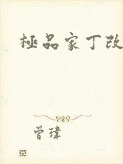 极品家丁改编版封面