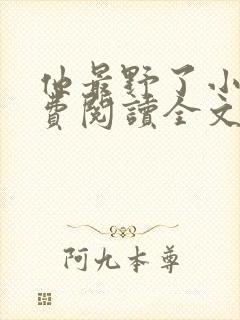 他最野了小说免费阅读全文