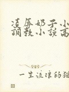 凌辱奶子小说上调教小说高h