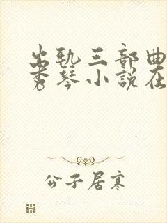 出轨三部曲之沈秀琴小说在线阅读