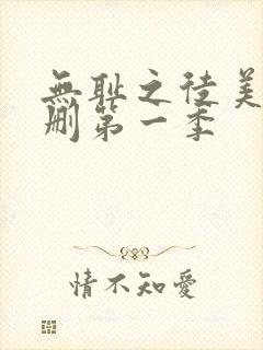 无耻之徒美版无删第一季