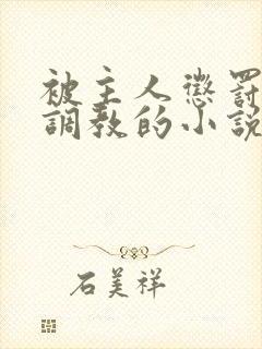 被主人惩罚玩弄调教的小说封面