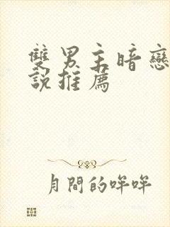 双男主暗恋文小说推荐