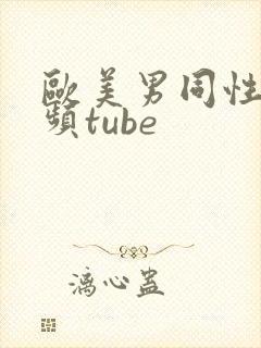 欧美男同性恋视频tube