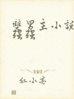 双男主小说推荐强强