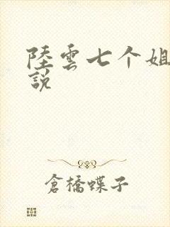 陆云七个姐姐小说