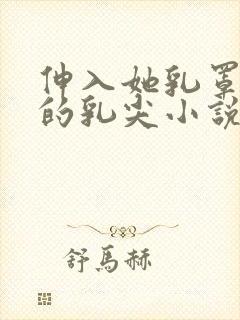 伸入她乳罩揉她的乳尖小说