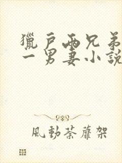 猎户两兄弟共娶一男妻小说