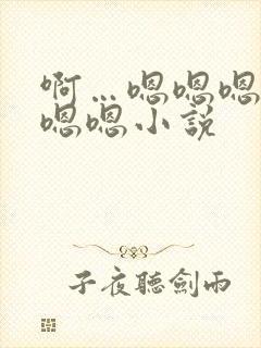 啊…嗯嗯嗯嗯嗯嗯嗯小说