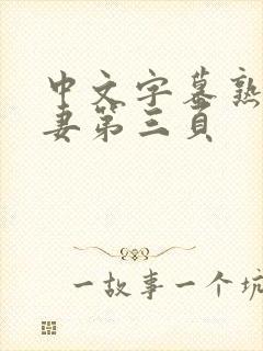 中文字幕熟女人妻第三页