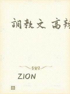 调教文 高辣
