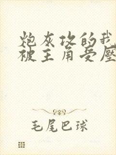 炮灰攻的我天天被主角受压小说阅读封面