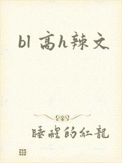 bl 高h辣文