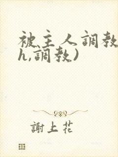 被主人调教(高h,调教)