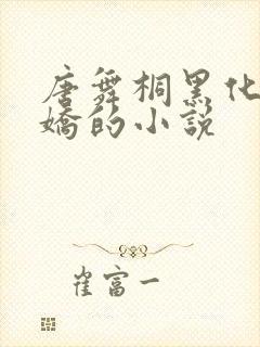 唐舞桐黑化成病娇的小说