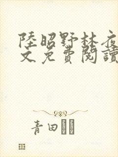 陆昭野林夜棠全文免费阅读最新章节封面