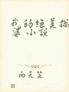 我的绝美总裁老婆 小说