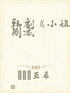 韩剧《小姐》未删减