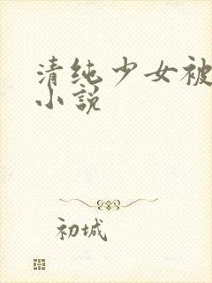 清纯少女被破处小说封面