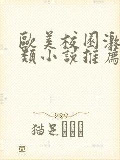 欧美校园激情另类小说推荐