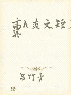 高h爽文短篇合集封面