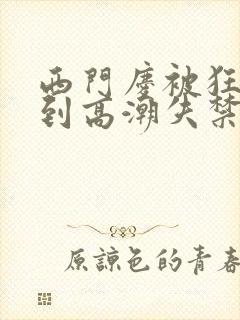 西门庆被狂c躁到高潮失禁小说