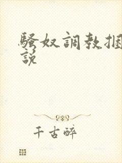 骚奴调教捆绑小说