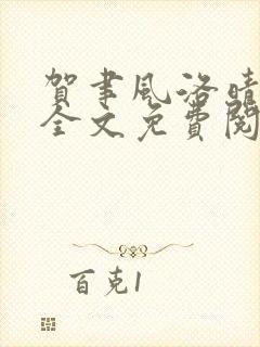 贺聿风洛晴小说全文免费阅读封面