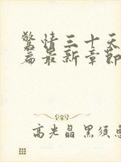 惊情三十天番外篇最新章节