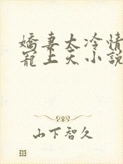 娇妻太冷情傅总宠上天小说免费阅读