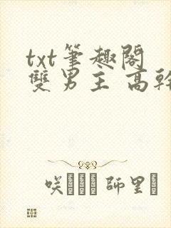 txt笔趣阁 双男主 高干