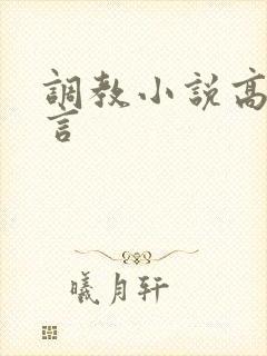 调教小说高h古言