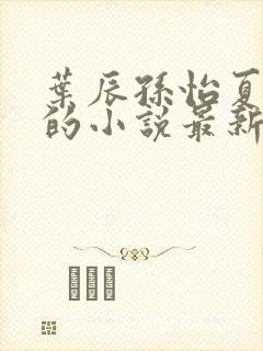 叶辰孙怡夏若雪的小说最新