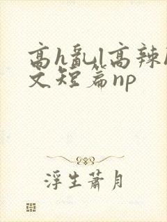 高h乱l高辣h文短篇np