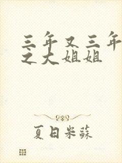 三年又三年综武之大姐姐